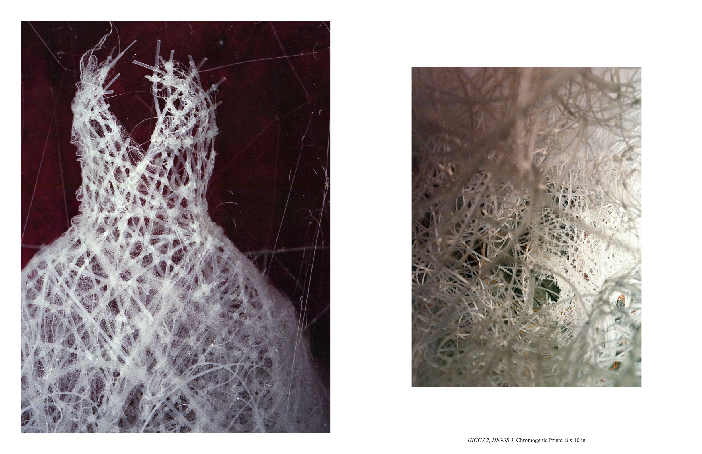 HIGGS 2 and HIGGS 3 chromogenic prints