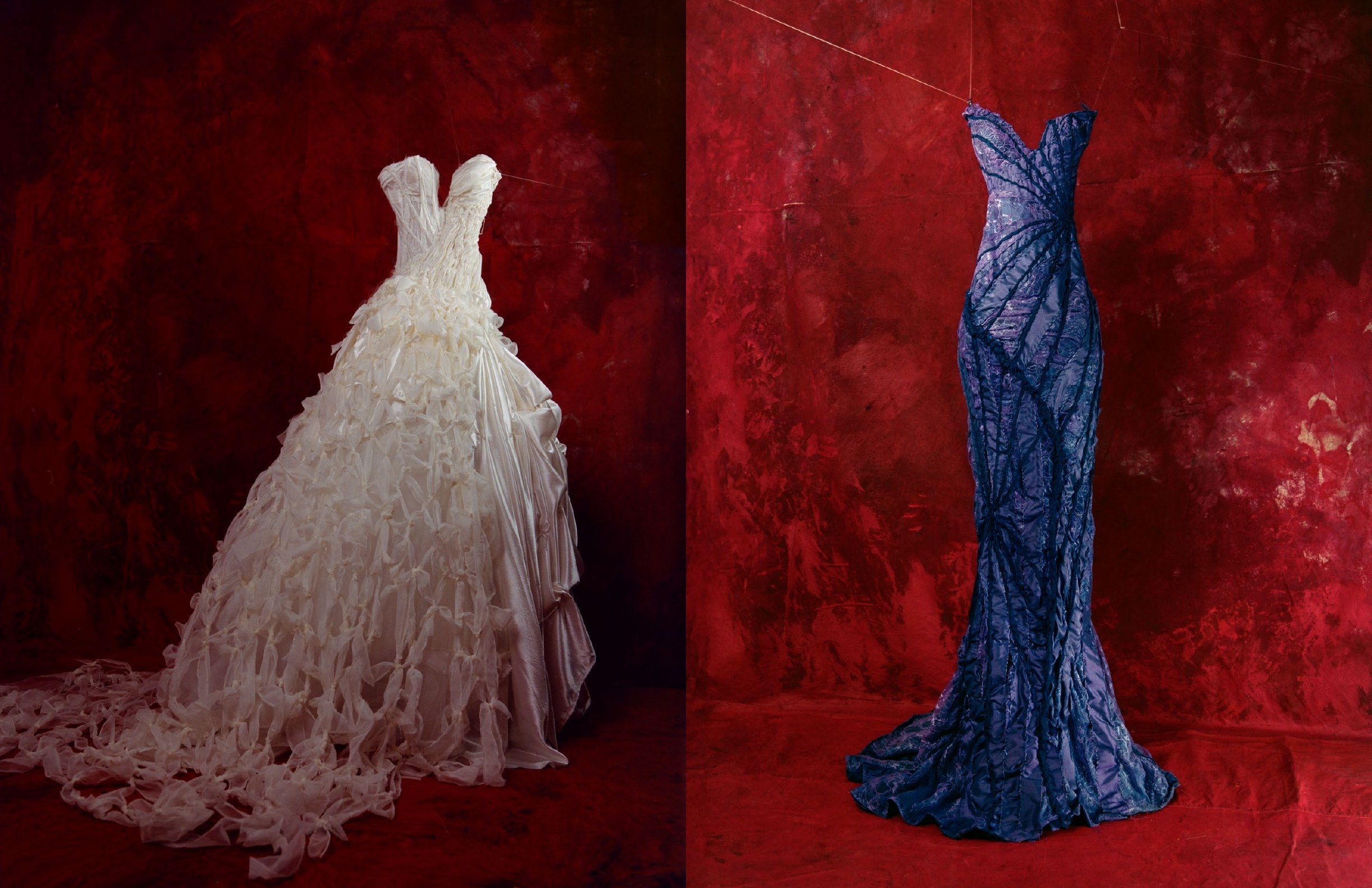REAL DRESS, CAT, and RABBIT photographs
