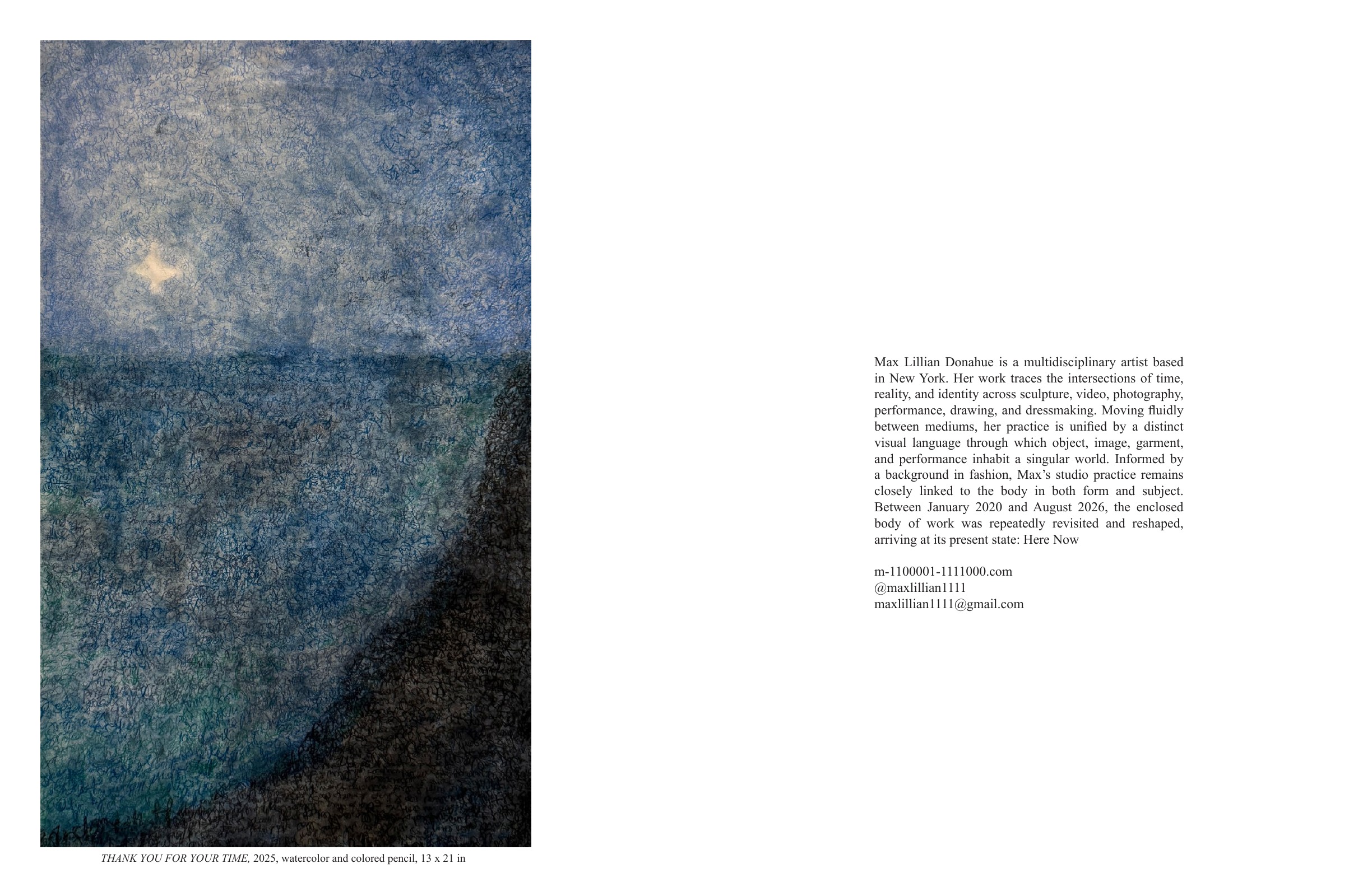 THANK YOU FOR YOUR TIME and artist statement by Max Lillian Donahue